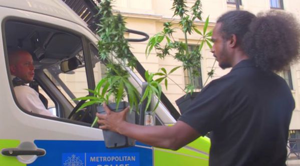 Il se balade dans les rues de Londres avec des plantes de cannabis