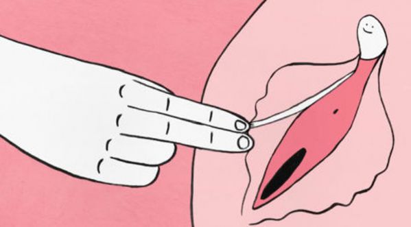 Le clitoris n’est pas un organe de seconde zone mais celui du plaisir