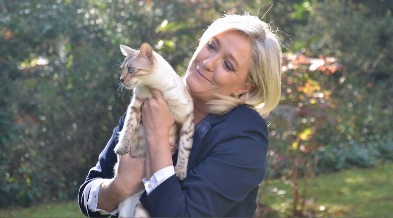 Un avenir félin pour Marine Le Pen ?