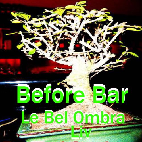 Before bar @ Bar les Beaux Arts**