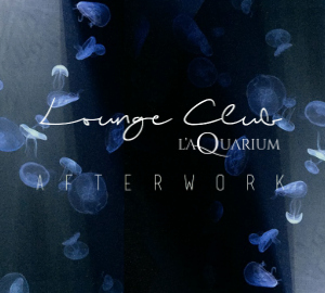 Afterwork au Lounge Club de l’Aquarium