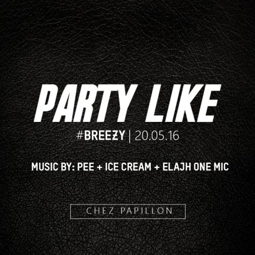 PARTY LIKE #BREEZY I 20.05.16 I PEE x ICE CREAM x ELAJH ONE MIC I Chez Papillon
