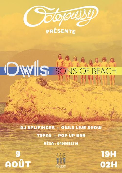 Soirée concert des OWLS et Djset Splifinger sur la plage ! · Organisé par Octopussy