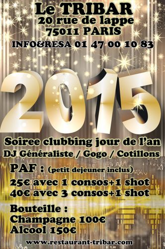 THE NEW YEAR’S PARTY 2015