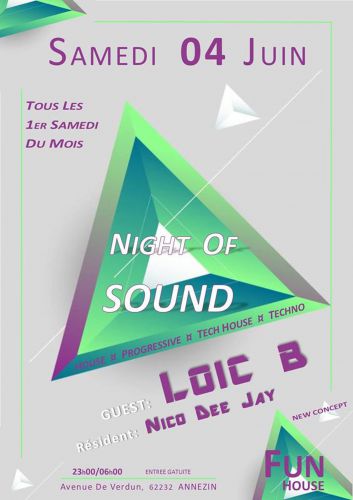 Night Of Sound and Clubbing