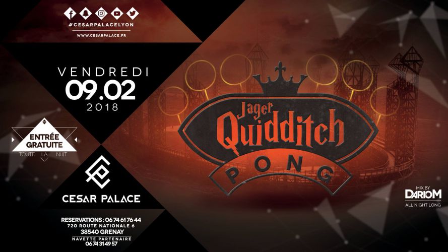 Jâger Quidditch Pong