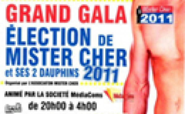 ELECTION MISTER CHER 2011