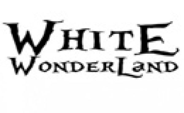 Paul Van Dyk à White Wonderland