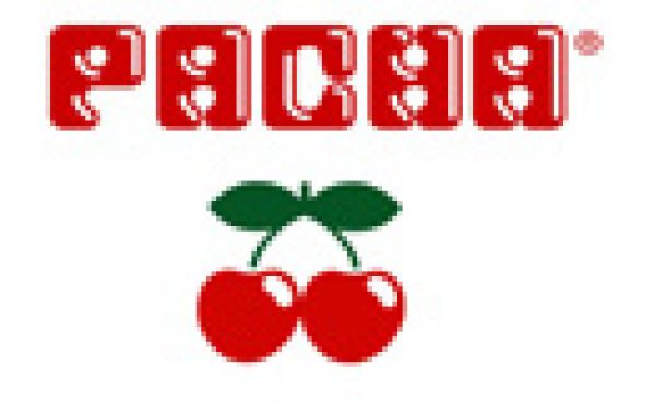 L’Opening du Pacha Ibiza se fait en grande pompe