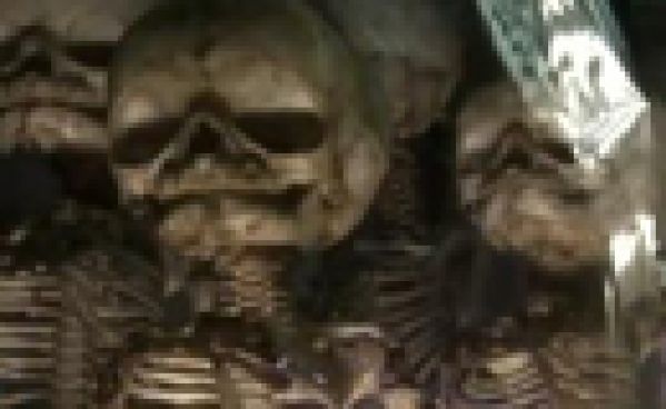 Des restes humains conservés au Muséum d’Histoire naturelle de Rouen