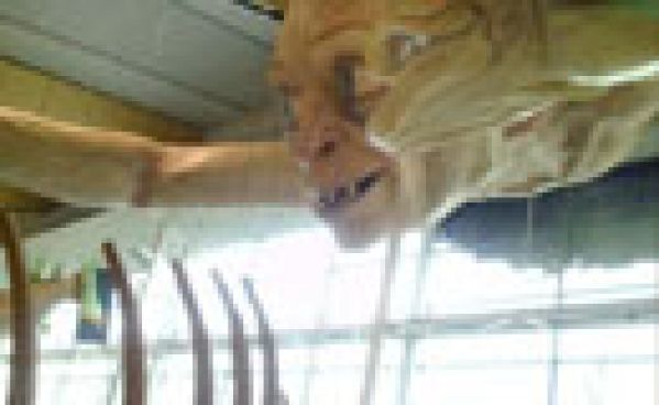 Un Gollum géant à l’aéroport de Wellington en Nouvelle-Zélande