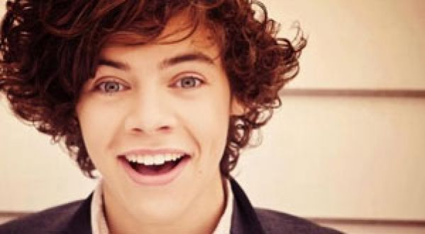 INCIDENT: Harry des One Direction reçoit une chaussure dans les parties intimes.
