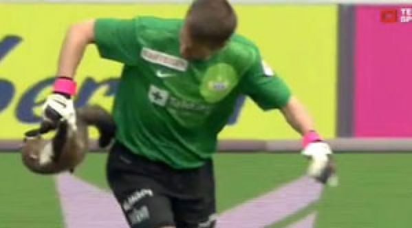 Un match de foot interrompu par une fouine