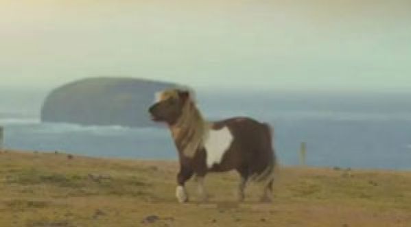 Un poney qui danse le moonwalk : Histoire de la meilleure pub du monde!