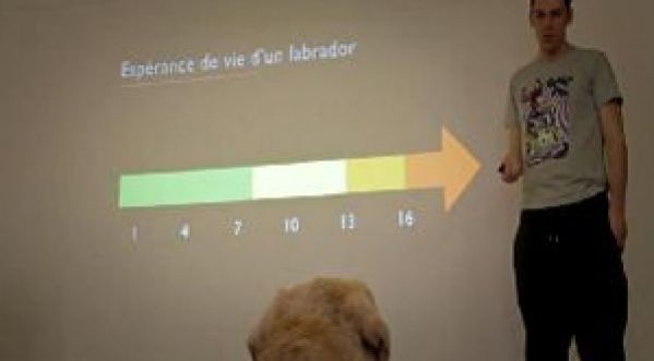 A l’aide de Powerpoint, il explique à son chien les raisons qui le pousse à l’abandonner