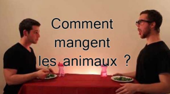 Comment mangent les animaux ?