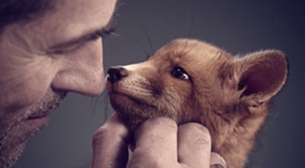 AdopteUnMec surfe sur la vague CUTE des Animaux !