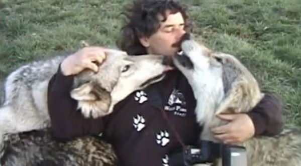 LE LOUP : LE NOUVEAU MEILLEUR AMI DE L’HOMME ?