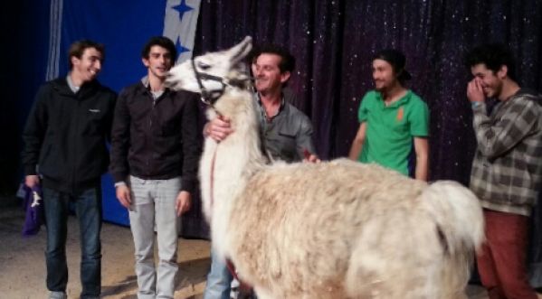SERGE LE LAMA, HERO PUBLICITAIRE