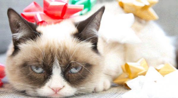 LE SÉJOUR DE GRUMPY CAT A DISNEYLAND !