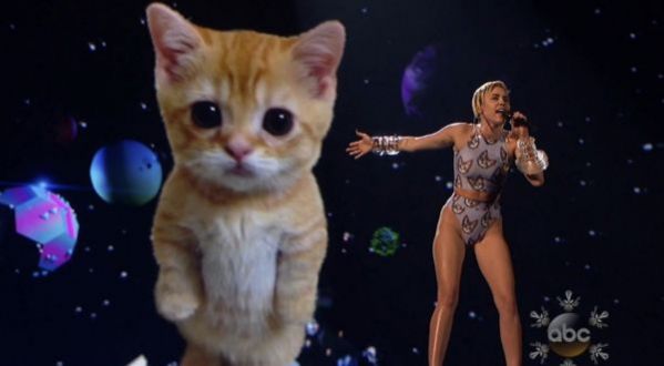 AMERICAN MUSIC AWARDS: MILEY CYRUS ET SON CHATON GEANT