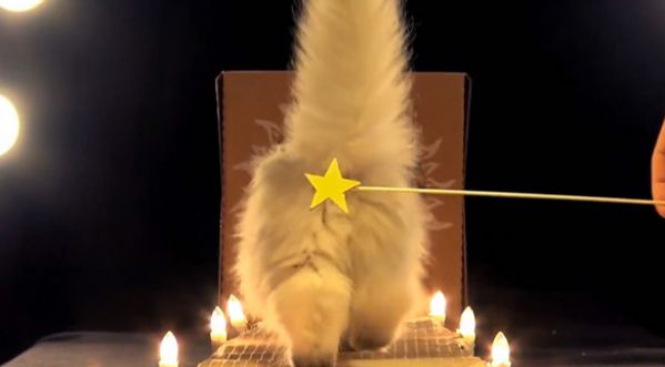 « POOPY CAT DOLLS » : UNE DES MEILLEURES PUBLICITÉ DE 2013