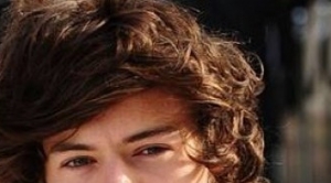 Harry Styles en couple avec une fan