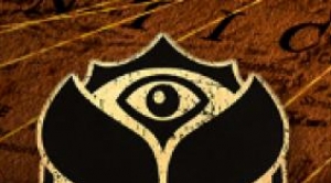 Tomorrowland 2013 : Les premières informations