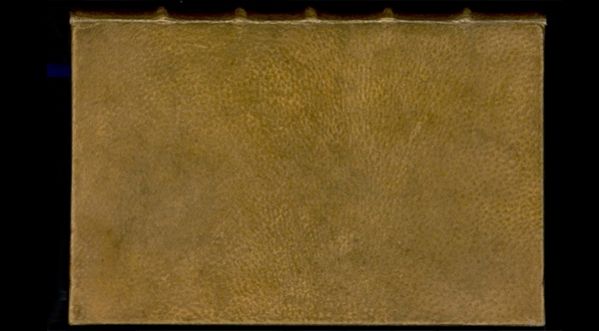 Un livre relié en peau humaine retrouvé à Harvard !