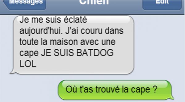 Si votre chien pouvait écrire des SMS, voilà ce qu’il vous dirait !