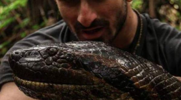 Nouvelle émission : Il se fait avaler vivant par un anaconda géant!