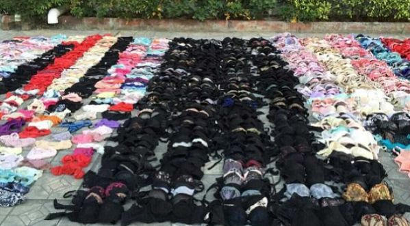 Un voleur de sous-vêtements démasqué : plus de 2000 soutiens-gorges et petites culottes retrouvés!