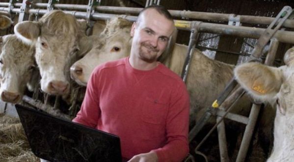 Un nouveau site de rencontre pour les vaches !