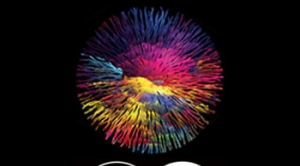 Le Festival WeAre Expérience revient à Marseille le 15 Mars !