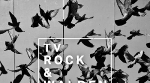 TV Rock, Walden – See Me Run (Marcus Schossow Remix)