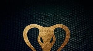 Yves V, Don Diablo – King Cobra