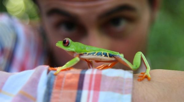 Vidéo : Tout ce que vous ne ferez pas pour sauver la planète !