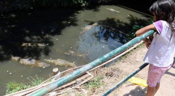 A Rio de Janeiro, les habitants des favelas se battent contre les crocodiles pour l’eau potable