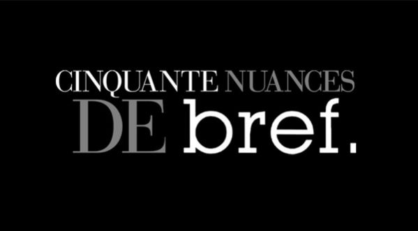 Bref parodie « 50 nuances de grey » !