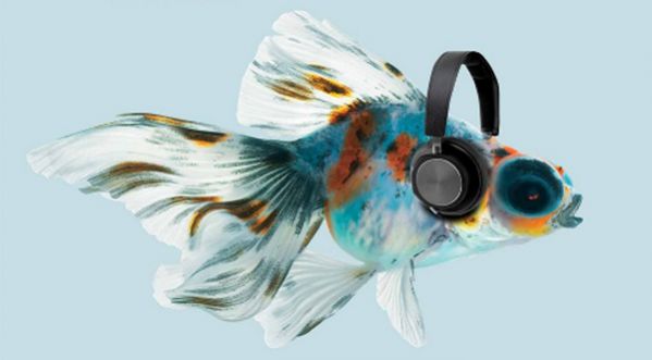 Music en Ciel, un nouveau festival se crée malgré la crise !