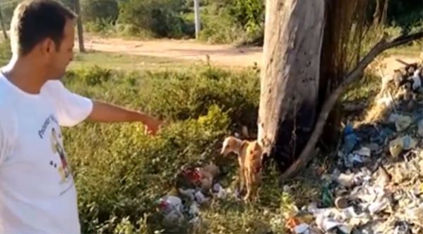 Brésil : Il se dévoue pour sauver les animaux dans le besoin