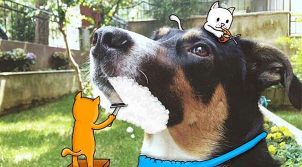 Instagram : des photos supers originales !