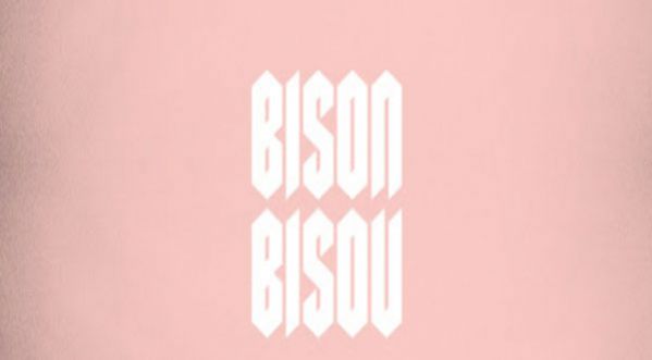 BISON BISOU : les Lillois déglingués présentent Régine…
