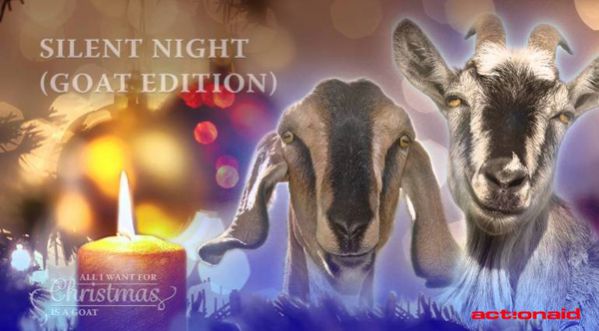 Quand des chèvres chantent Noël…