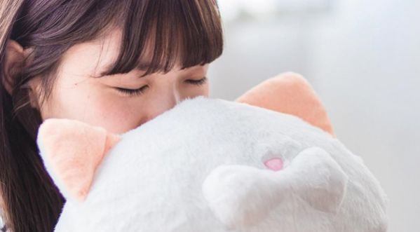 Fluffy fragrance, un parfum qui a du chat !