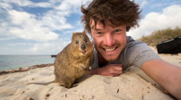 Quand les animaux prennent la pose…