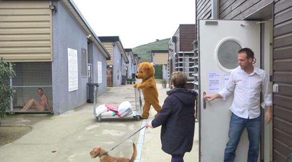 Rémi Gaillard dénonce l’abandon des animaux !