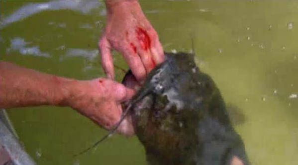 Il pêche avec son bras !