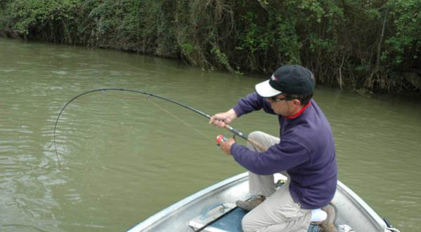 Il ne s’attendait pas à pêcher cela …