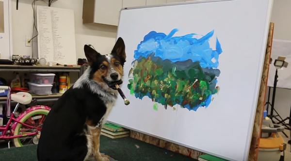 Jumpy, le chien artiste du web !